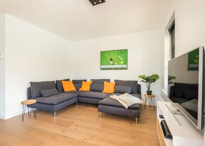 Goudkust 4 'schoorls Geluk' *