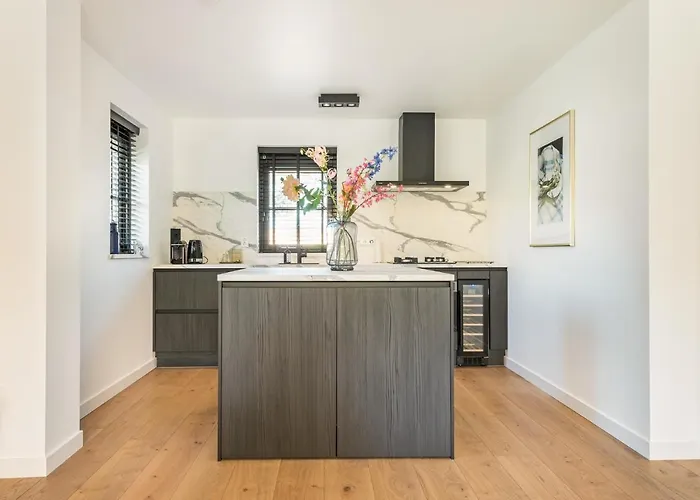 Goudkust 4 'schoorls Geluk' Схорл