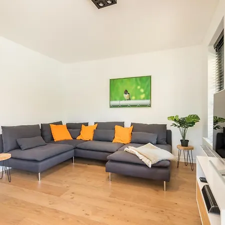 Goudkust 4 'schoorls Geluk' *